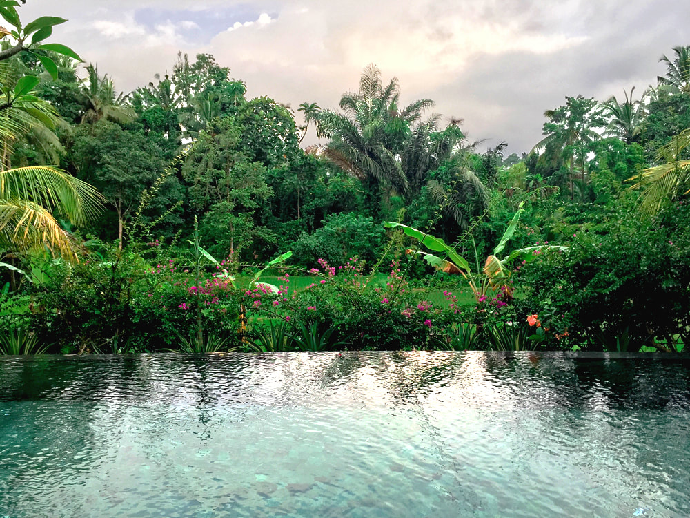 The pool for all guests, located beside Rahda Spa. Dwaraka, the Royal Villas, Ubud, Bali, Indonesia.