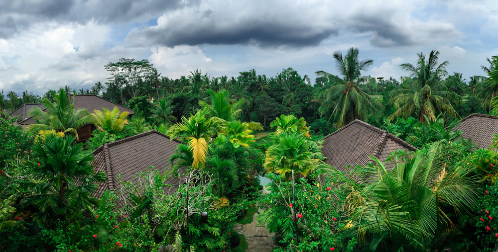 Watching a storm roll in. The view from Yoshoda Kitchen, the hotel restaurant. Dwaraka, the Royal Villas, Ubud, Bali, Indonesia.