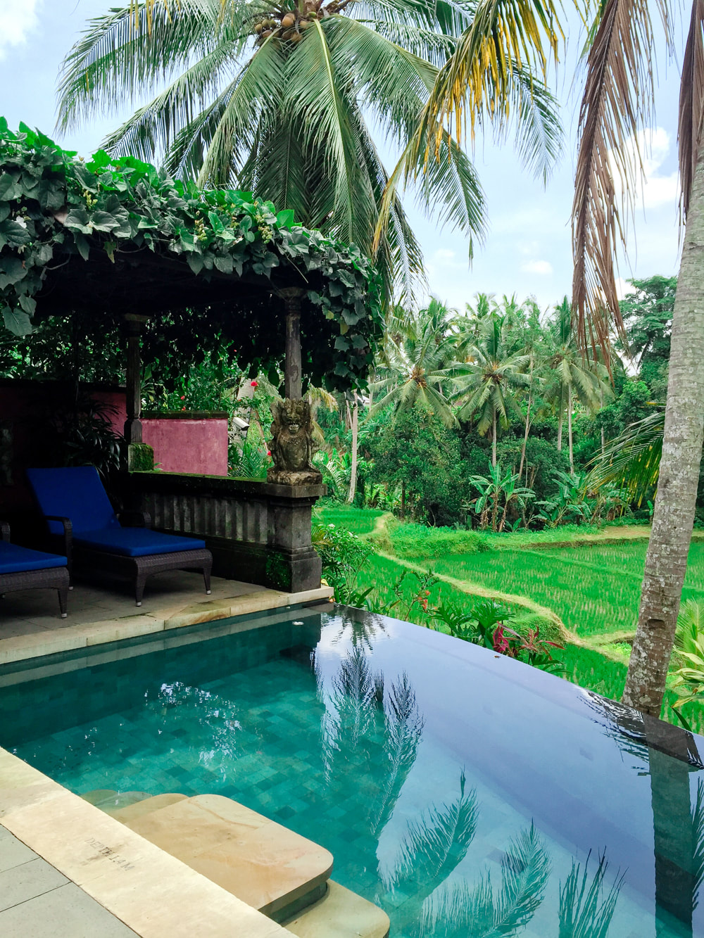 Private pool and seating area, over-looking the rice paddy field. Dwaraka, the Royal Villas, Ubud, Bali, Indonesia.