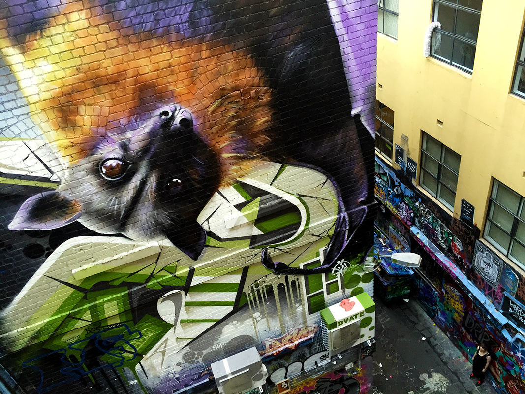 Hosier Lane Street Art, Melbourne, Australia, February 2016 - Fruit bat in Rutledge Lane by DVATE.