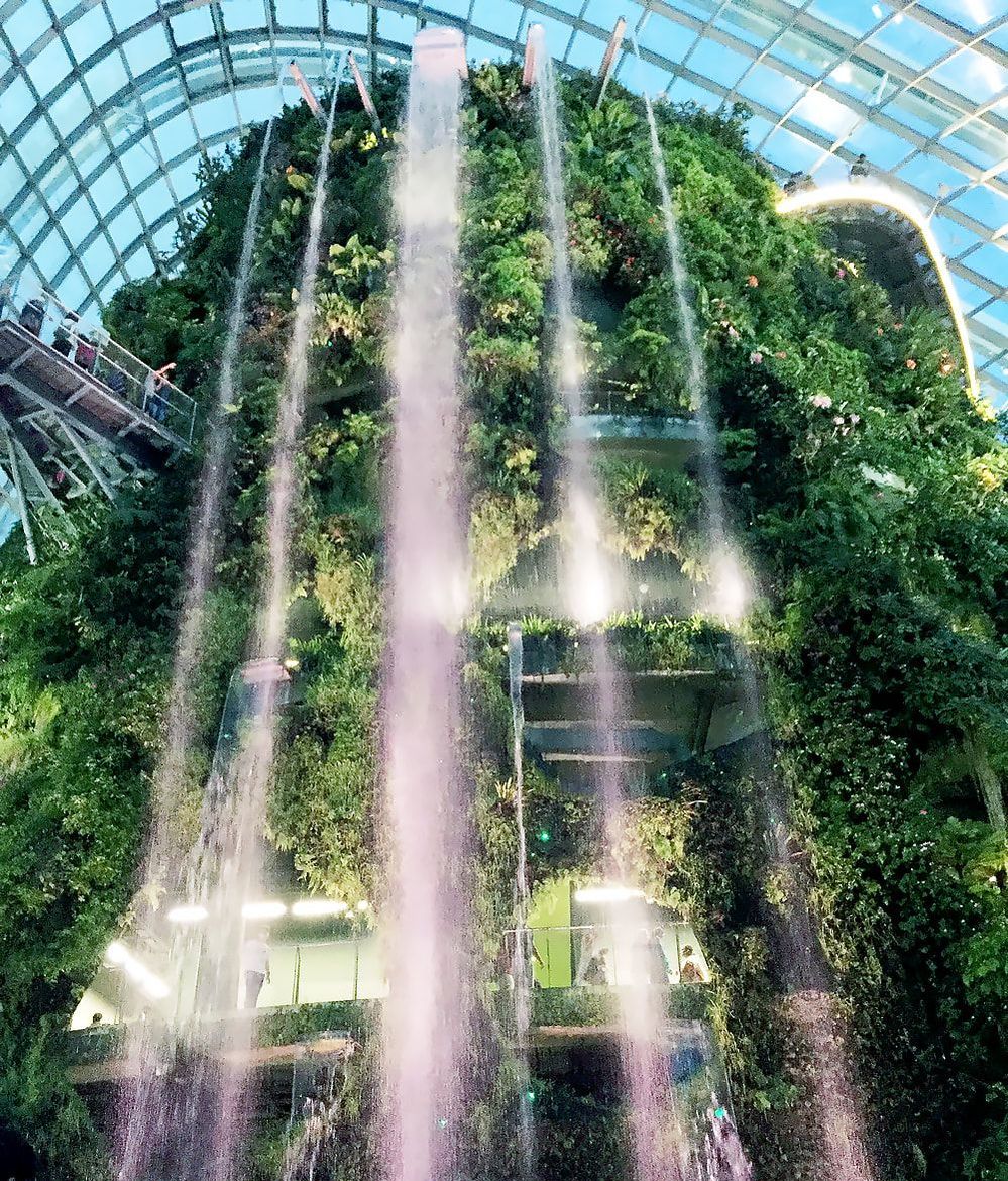 The waterfall inside the Cloud Forest at Gardens by the Bay in Singapore.