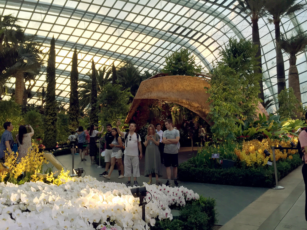 Inside the Flower Dome at Gardens by the Bay, Sinagpore