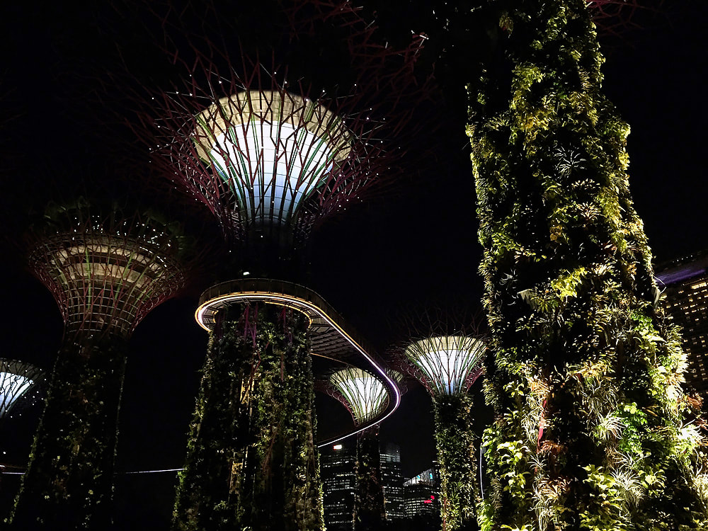 Gardens by the Bay - Supertree Grove.
