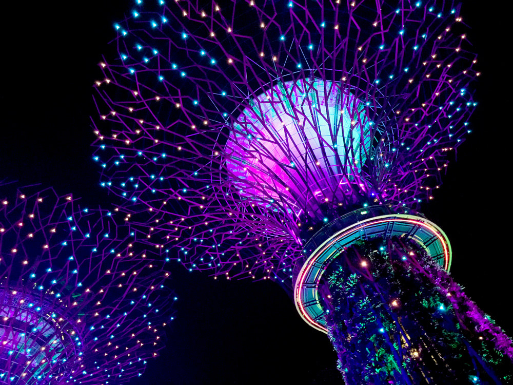 Singapore Gardens By The Bay Supertree Grove And The Ocbc Skyway