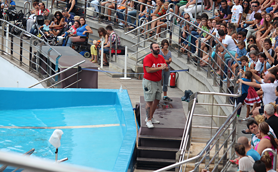 Crowd and host during the dolphin show - Oceanographic, Valencia, Spain