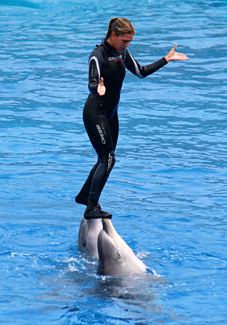 A female trainer stands and is carried by 2 dolphins - Oceanographic, Valencia, Spain
