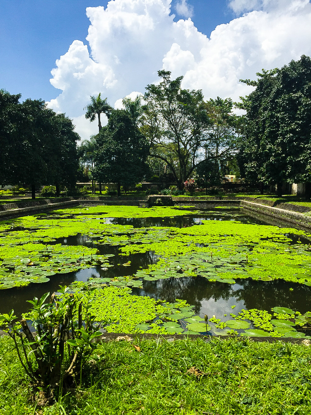 Lily pad pool - Taman Narmada (Narmada Park), Mataram, Lombok, Indonesia.