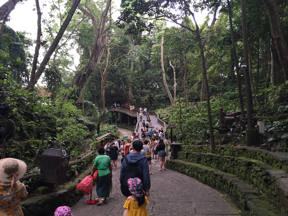 Walking through the Sacred Monkey Forest Sanctuary, Ubud, Bali, Indonesia.