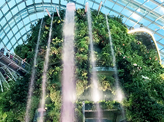 Singapore - Gardens by the Bay - The Cloud Forest.