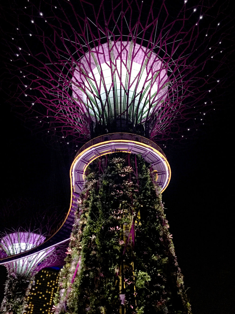 Supertree Grove and the OCBC Skyway at Gardens by the Bay, Singapore.