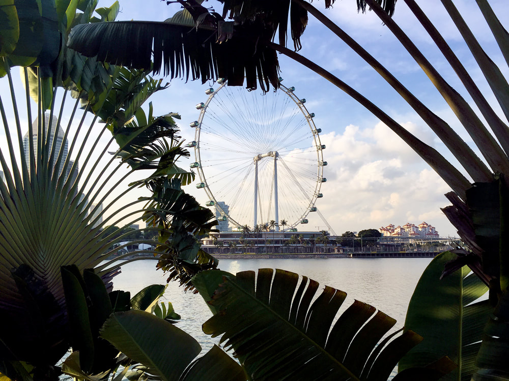 A view of the Singapore Flyer from across Marina Bay, Singapore.