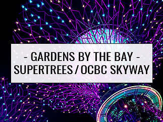 Singapore: Gardens by the Bay - Supertree Grove and the OCBC Skyway