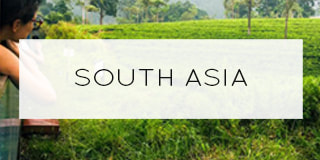 South Asia Banner