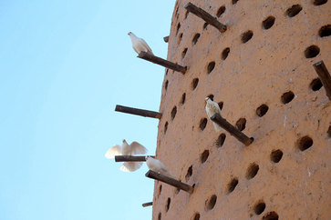 Qatar Airways free Doha city tour - Katara Cultural Village dovecote and doves.