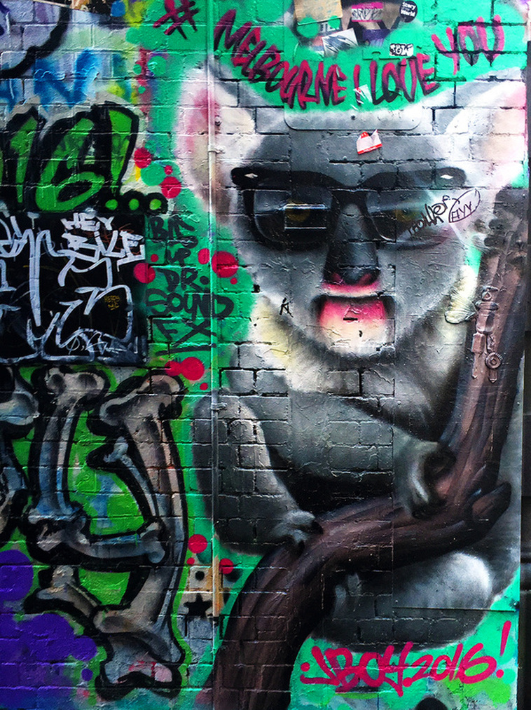 Hosier Lane Street Art, Melbourne, Australia, February 2016 - Koala in Hosier Lane by JBOY?