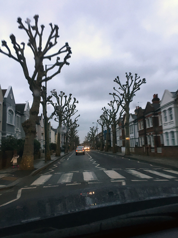 The large Tim Burtonesque trees lining some of the streets around Fulham. (Also spotted in Camden - Tily Travels.