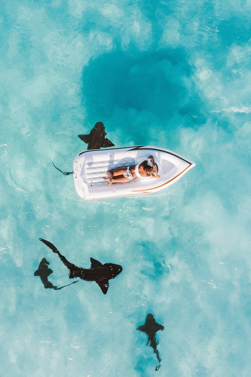 The Things You MUST Add To Your Bucket List. Swimming with Sharks.