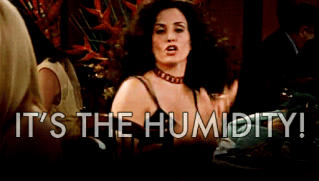 Monica Geller, humidity hair gif.