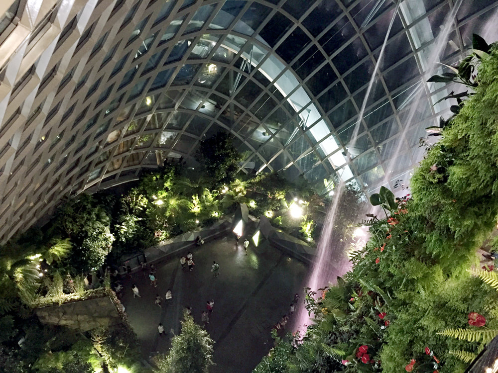 Looking down at the waterfall, plants and people below inside the Cloud Forest at Gardens by the Bay in Singapore.