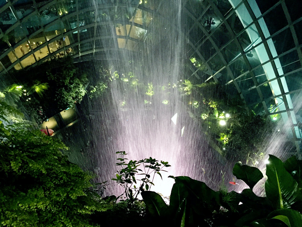 Looking down through the waterfall from the highest viewing platform, inside the Cloud Forest at Gardens by the Bay in Singapore.