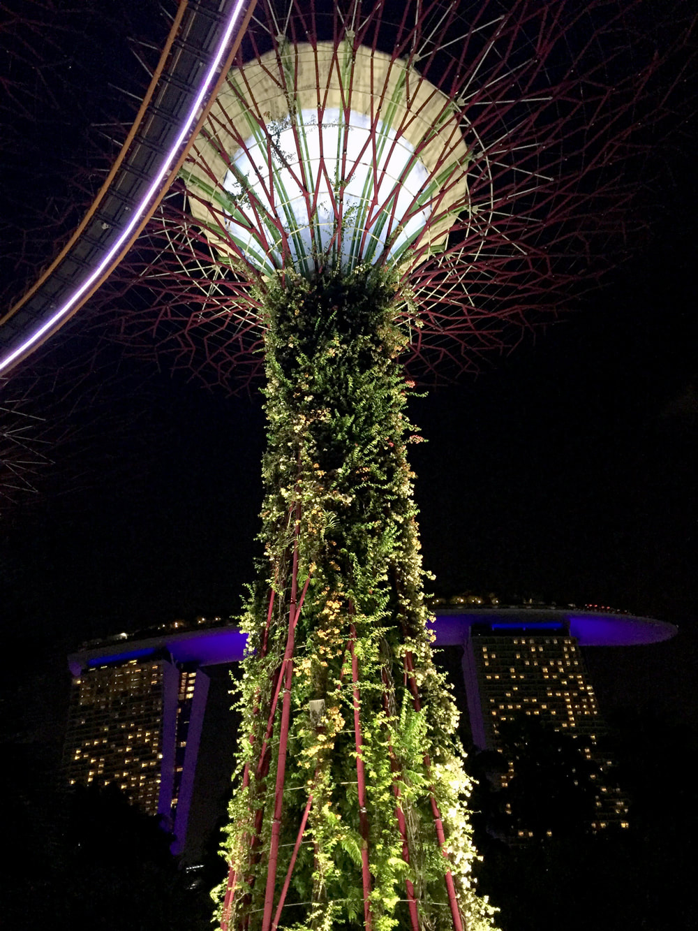 Vertical gardens of Supertree Grove and OCBC Skyway with Marina Bay Sands in the background - Gardens by the Bay, Singapore.