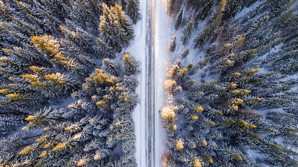 Helpful Road Tripping Tips For Newbies - (Image: Aerial view of a Snow Covered Road and Forest).