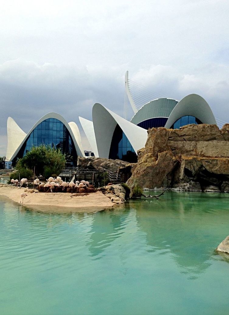 The futuristic design of the underwater restaurant at L'Oceanografic, Valencia, Spain.