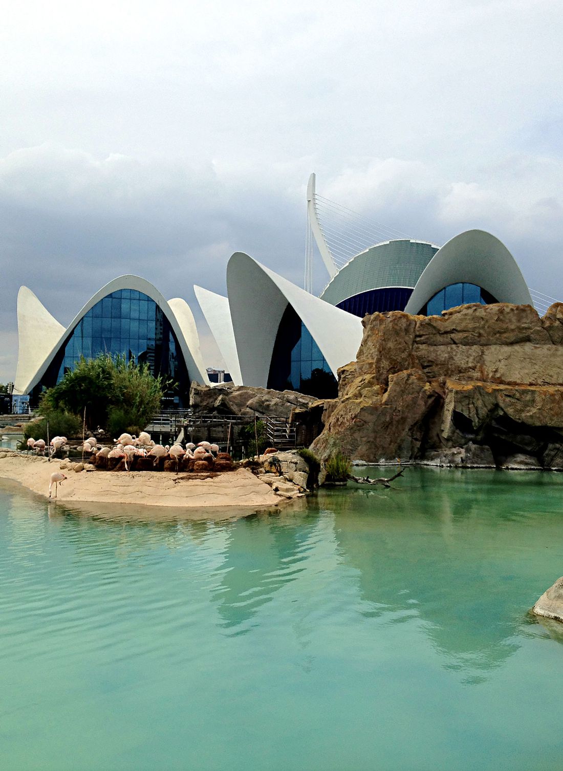 The L'Oceanografic restaurant, The City of Arts and Sciences, Valencia, Spain.