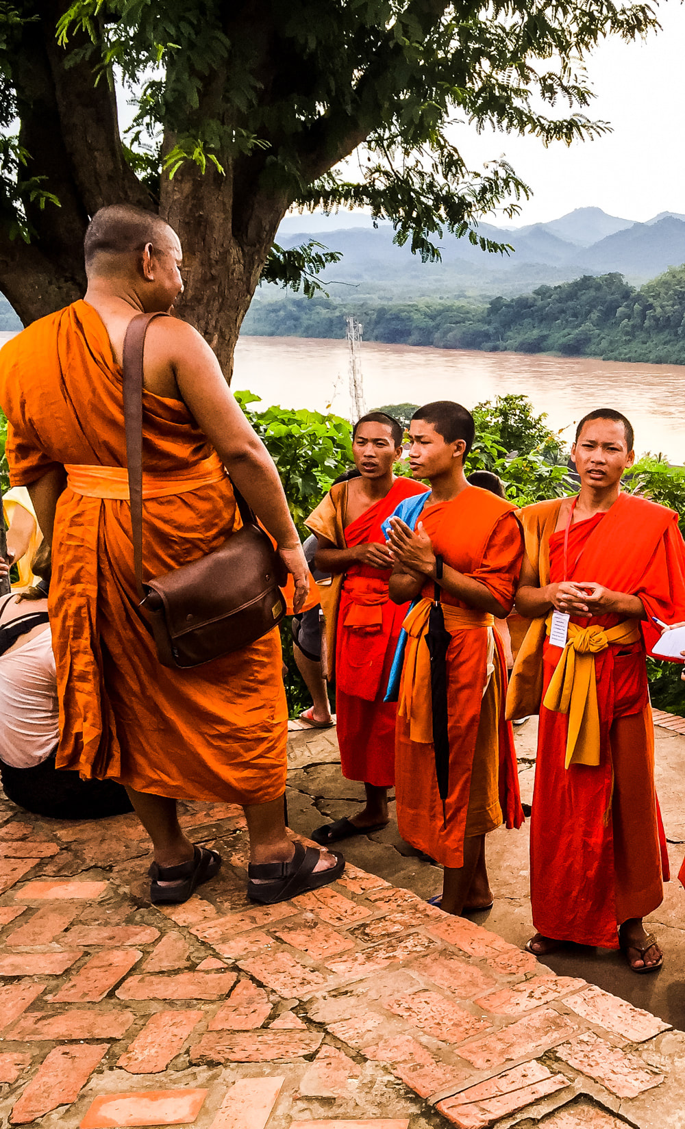 Student Buddhist monks (Bhikkhu), Luang Prabang, Laos.