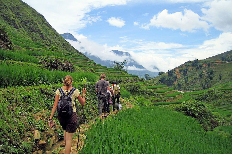 Perfect Destinations in Vietnam for a Family Travelling with Kids - Rice Paddy trekking in Sapa.