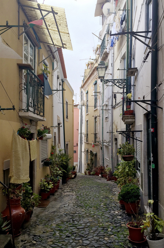 Alfama district - Pot plants on the narrow backstreets of Lisbon's Old Quarter.