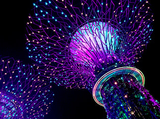 Singapore - Gardens by The Bay - Supertree Grove and the OCBC Skyway.