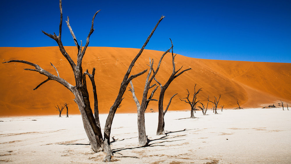 10 of the Best Places in the World to go Hot Air Ballooning: Dead vlei, Sossousvlei, Namibia.