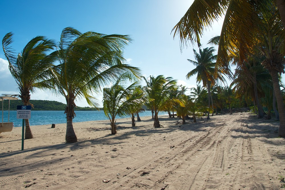 Vieques: One of the Caribbean’s Best Secrets - Sunbay Beach, Vieques, Puerto Rico.