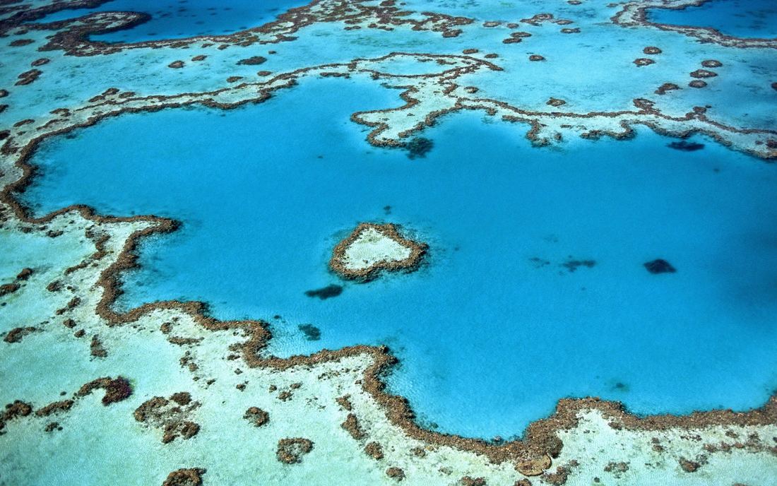 See It Before It’s Gone. Great Barrier Reef, Australia.